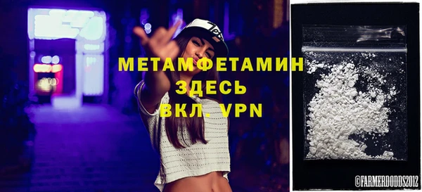 шишки Няндома