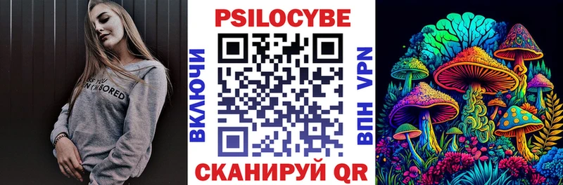 Купить  Бор  Галлюциногенные грибы Psilocybine cubensis 